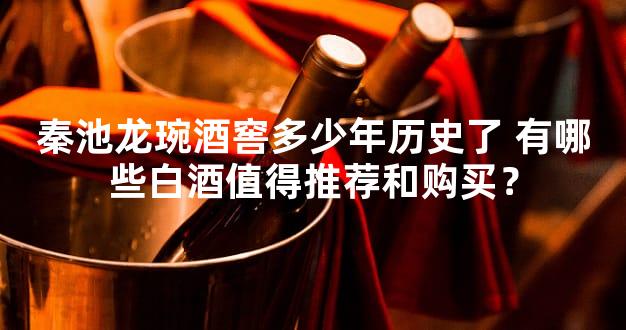 秦池龙琬酒窖多少年历史了 有哪些白酒值得推荐和购买？